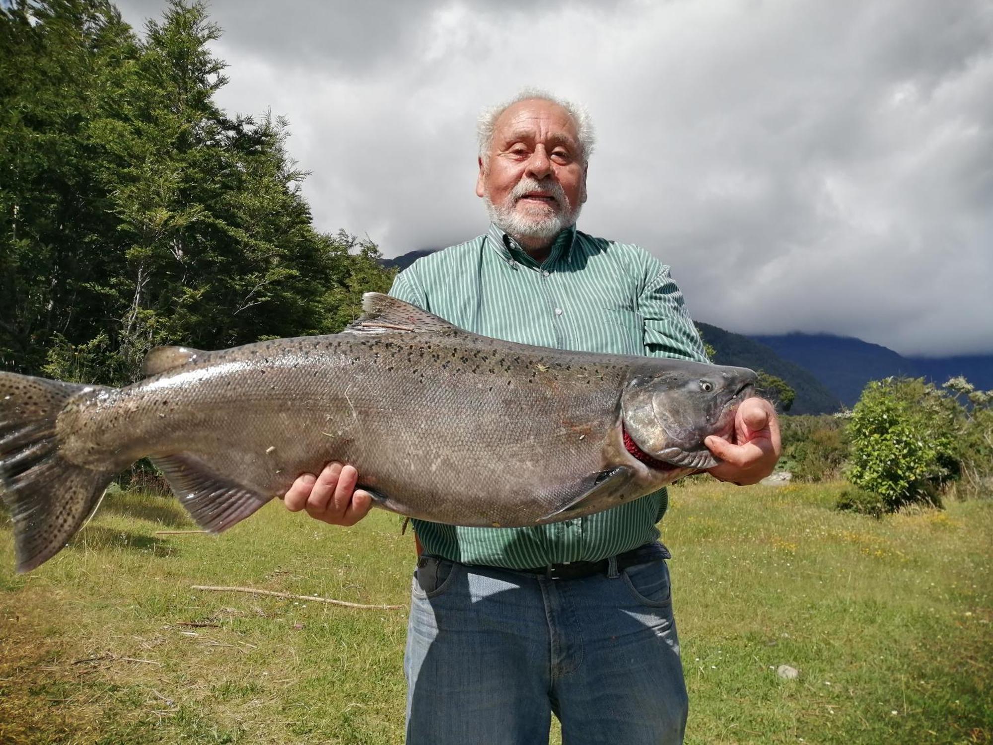 Patagonia Bordelago Puerto Ingeniero Ibanez Dış mekan fotoğraf